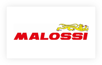 logo-malossi